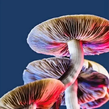 Bluestem Spores