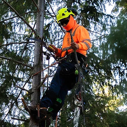 West Coast Tree Service