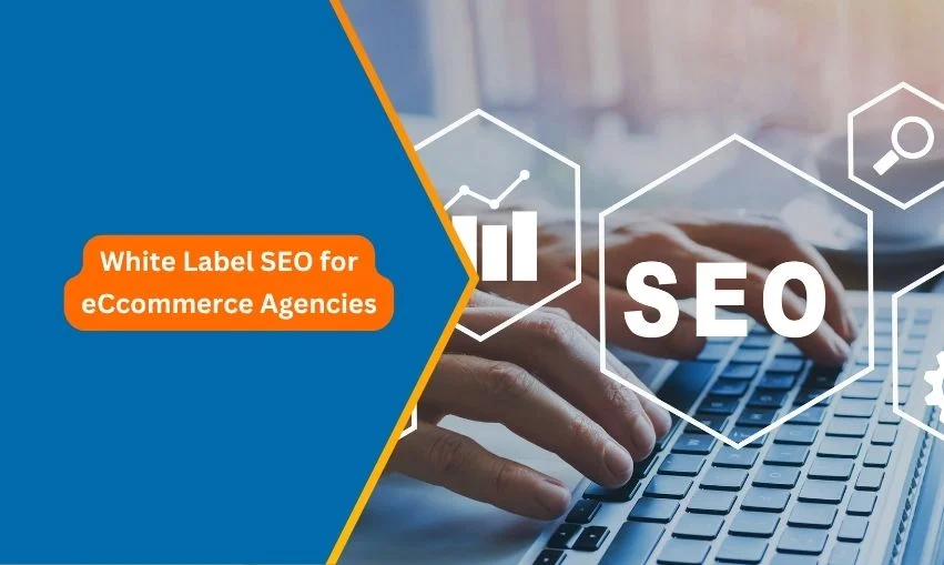 White Label SEO for eCcommerce Agencies