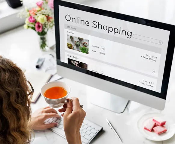 Magento Website Development Services