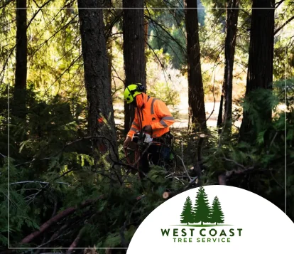 West Coast Tree Service West Coast Tree Service