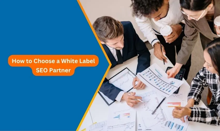 How to Choose a White Label SEO Partner